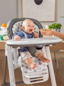 Chaise Haute évolutive CHICCO Polly Progres5 Gris - Chicco